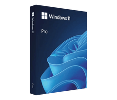 Windows 11 PRO BOX USB