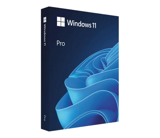 Windows 11 PRO BOX USB